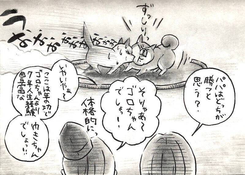 【マンガ連載】勝手に！妄想しば  #10 「モフモフまんまるボディでも勝てない!? ゴロちゃんの弱点」作：koguma2990