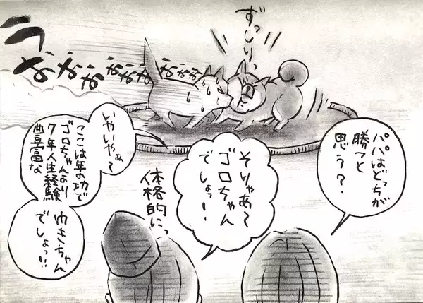 「【マンガ連載】勝手に！妄想しば  #10 「モフモフまんまるボディでも勝てない!? ゴロちゃんの弱点」作：koguma2990」の画像