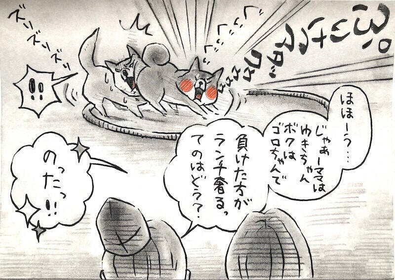 【マンガ連載】勝手に！妄想しば  #10 「モフモフまんまるボディでも勝てない!? ゴロちゃんの弱点」作：koguma2990