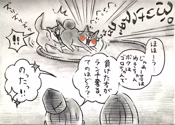 「【マンガ連載】勝手に！妄想しば  #10 「モフモフまんまるボディでも勝てない!? ゴロちゃんの弱点」作：koguma2990」の画像