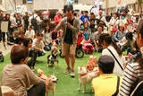 「【イベントレポート】柴犬がイベントを独占!?柴スマイルであふれた「カートラジャパン2019〜」」の画像7