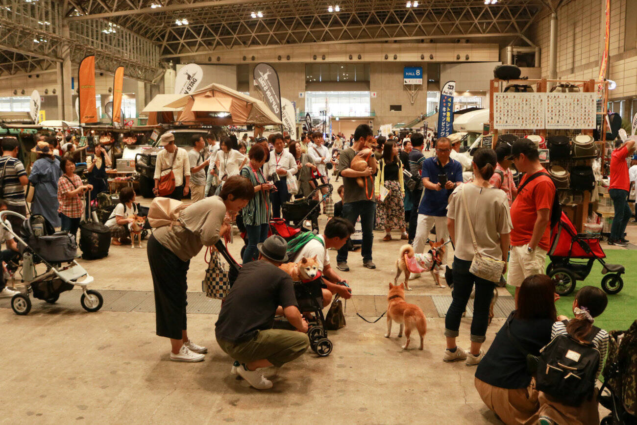 【イベントレポート】柴犬がイベントを独占!?柴スマイルであふれた「カートラジャパン2019〜」