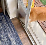 「（ｽﾀｽﾀ〜ｯ）柴犬の賢さはやっぱピカイチ。子犬だって、説明しなくても見れば大体こなしちゃうもので。【動画3本】」の画像3