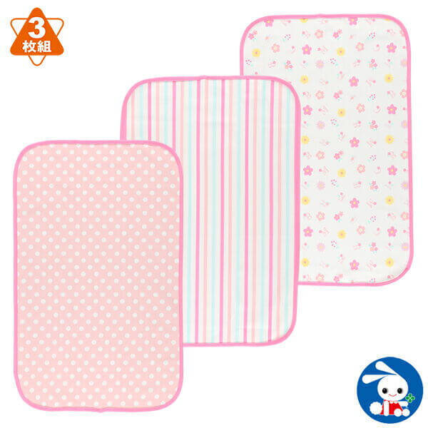 【柴を介護する】＃6　自宅介護をもっとラクに。プロおすすめの「介護アイテム」で愛柴と自分の負担を減らす