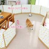 「【柴を介護する】＃6　自宅介護をもっとラクに。プロおすすめの「介護アイテム」で愛柴と自分の負担を減らす」の画像28