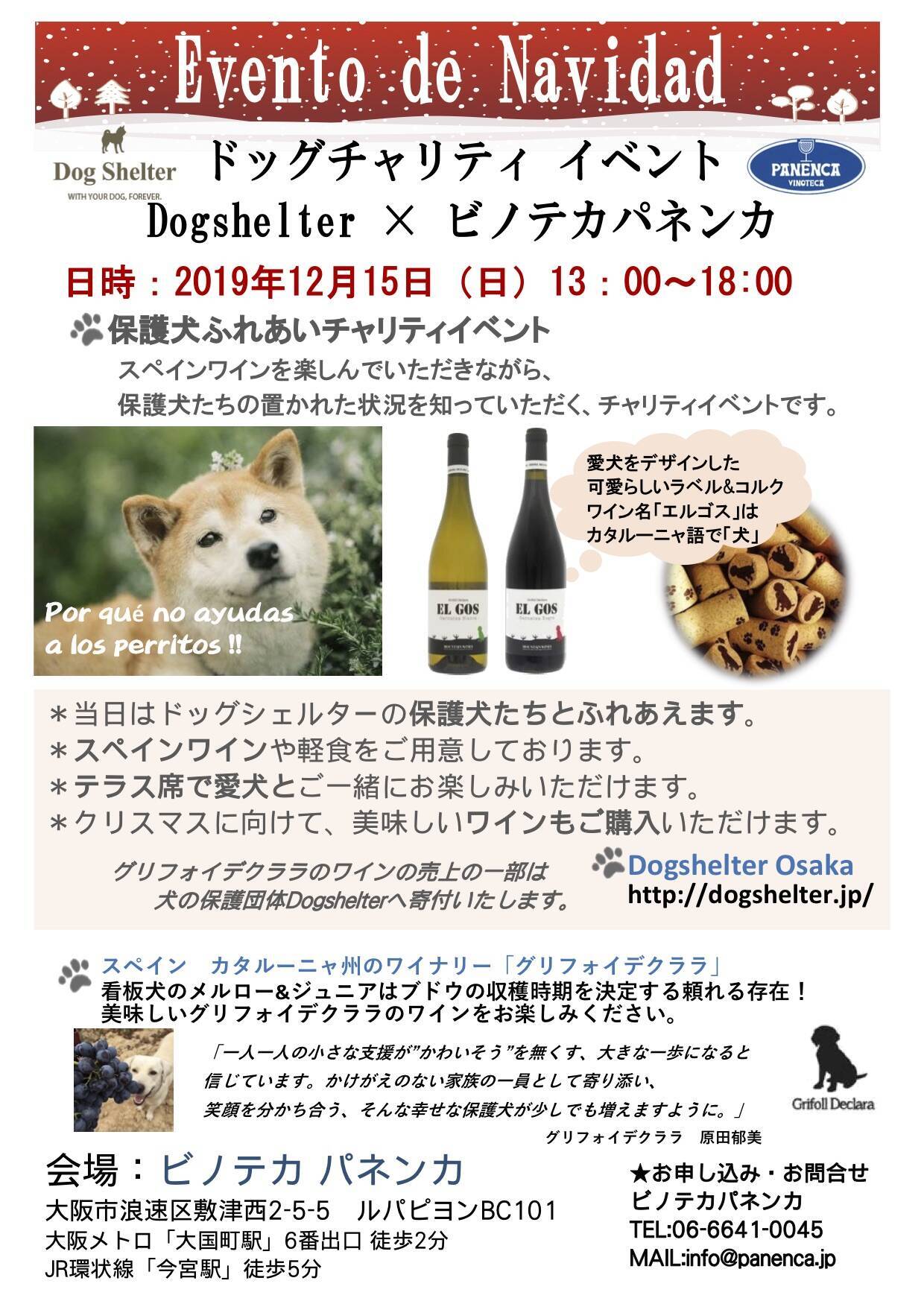 チャリティーイベント開催 おいしいワインを飲みながら 柴犬たちと触れ合おう 保護団体dso Presents 19年12月5日 エキサイトニュース