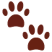 柴犬がこたつむりになる動画に 癒しのこたつむりさんですね お隣空いてますか の声 19年12月28日 エキサイトニュース