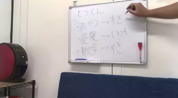 「柴犬が自分のおやつ会議に出席。討論中はダラけて眠気、試食では超食い気味…な一部始終が笑える【動画】」の画像