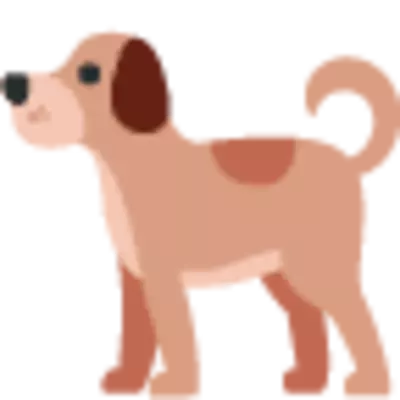 自分 おもちゃはロープ一択なんで ｷﾘｯ 柴犬は 子犬であってもこだわりのクセがつよい 動画あり 19年12月27日 エキサイトニュース