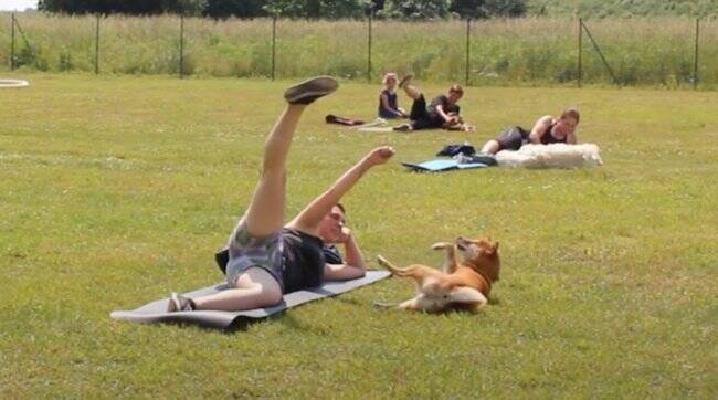 「ハイあと30回」飼い主の足を押さえて腹筋を手伝う柴犬。性格上、少々スパルタな模様。【動画2本】