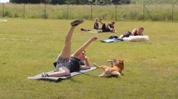 「「ハイあと30回」飼い主の足を押さえて腹筋を手伝う柴犬。性格上、少々スパルタな模様。【動画2本】」の画像