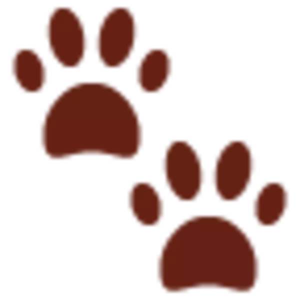 （ﾊﾞｲーﾝ）ベランダから部屋に戻る瞬間、網戸に跳ね返された柴犬。あまりにお手本レベルな天然にキュン不可避【動画】