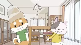 まぁヒドイ 自分で破壊しておいて安否を気遣う柴犬 白々しい素振りに ぬいぐるみもさぞ驚いていると思う 年10月7日 エキサイトニュース