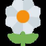 「「……？」不思議な音の正体を探ろうと左右に首をかしげる柴犬。この仕草が可愛すぎて、胸がときめいて苦しい【動画】」の画像4