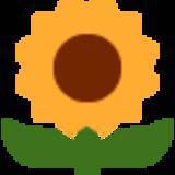 「『ふぁあ…♡』マッサージを受け至福絶頂な柴犬。こんなお顔されたら…もう止め時がわからないよね…！【動画】」の画像4