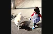 「ゆっくり行こうね」リードを持つ赤ちゃんの歩幅に合わせつつ先導する柴犬。その優しい心にジーンときた…【動画】