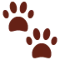 床でゴロゴロ中 飼い主にジャンプを求められるも僅かに前足を浮かせ ヨシ とした柴犬さんが超可愛い 動画 21年6月日 エキサイトニュース