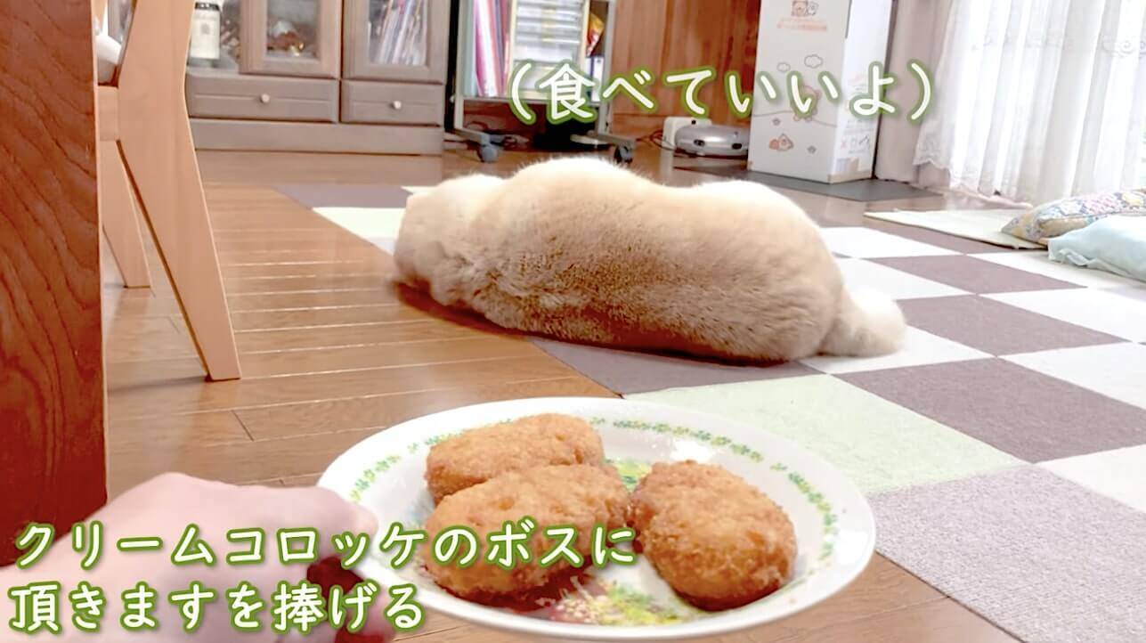 パンの次は 柴犬が可愛すぎて食べちゃいたい と思ってると こんがりしたコロッケに見えてくるあるある 動画 21年6月12日 エキサイトニュース
