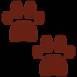 「寝ながら口ﾁｭﾊﾟﾁｭﾊﾟと鼻ﾋｸﾋｸのコンボを仕掛けてくる柴犬パピーがとんでもなく可愛い【動画あり】」の画像9