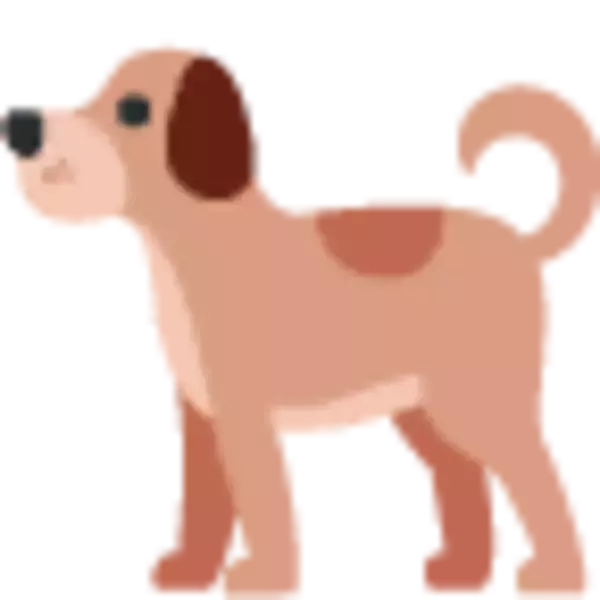 「「あ、痛かった？」飼い主が「痛い」と言うと噛むのを止める優しい（？）柴犬【動画】」の画像