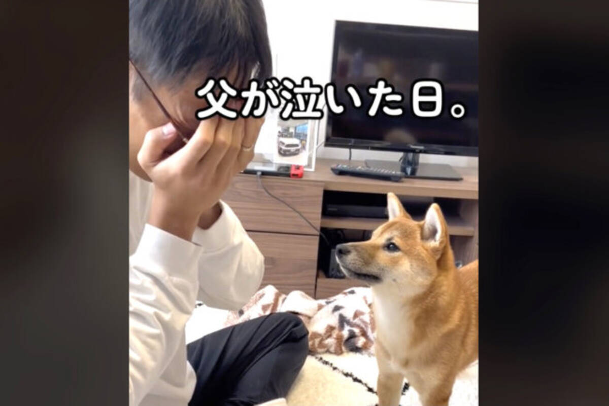 カミカミしたら飼い主が泣いちゃった 柴犬が優しくなぐさめて くれるはずもなかった 動画 22年12月1日 エキサイトニュース カミカミしたら飼い主が泣いちゃった 柴犬が優しくなぐさめて くれるはずもなかった 動画 22年12月1日 エキサイトニュース