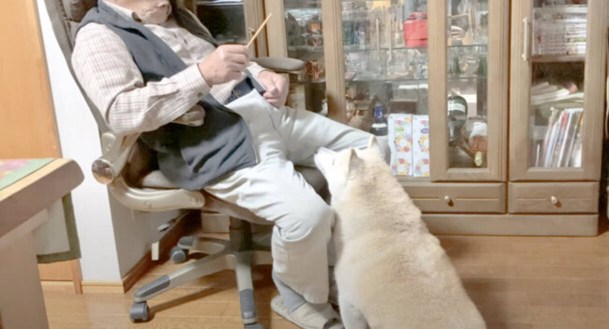 軽トラに乗って散歩に出発 おじいちゃんと相思相愛な柴犬のほのぼの日常がめちゃ尊い 動画 22年1月16日 エキサイトニュース