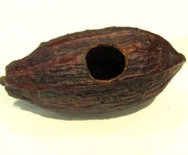 ロッテ、農園などに放置・廃棄されがちなカカオの実を活用　かわいらしい形状に新たな価値創出して産地と消費者をつなぐ