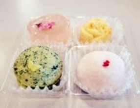 和菓子にトレハ 関係者の理解深める ナガセヴィータが大阪で講習会