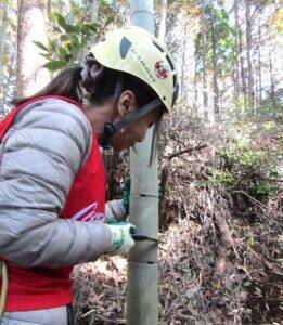 森に学ぶコカ・コーラ社員　八王子の里山復元へ森に入り間伐　土に雨水を浸透させて生物多様性にも貢献する水資源保全活動を体験