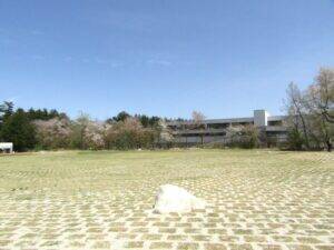 「サントリー天然水」販売数量が過去最高　ミネラルウォーターそのもののチカラが成長の原動力に