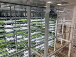 最先端植物工場で農業革新 被災地復興と食料安保に貢献
