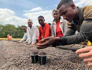 ファミリーマート 「モカブレンド」購入で産地支援 コーヒー豆生産の次世代育成に貢献