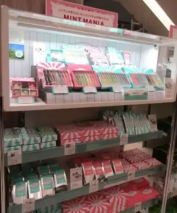 ミントの濃淡をカラフルなグラデーションで表現　ミントスティックチョコ「MINT MANIA」登場　ヨーカ堂バレンタイン重点新商品