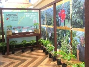 沖縄コーヒーをハワイコナコーヒーのようなお土産にする　「20年、30年と続けることが我々の責務」ネスレ日本の深谷社長が決意