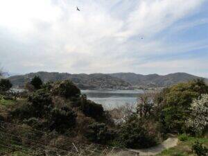 広島の老舗珈琲店が瀬戸内海でコーヒー栽培に挑む　今年初収穫　観光農園化や参入障壁が低いSDGs農法を追究　ニシナ屋珈琲