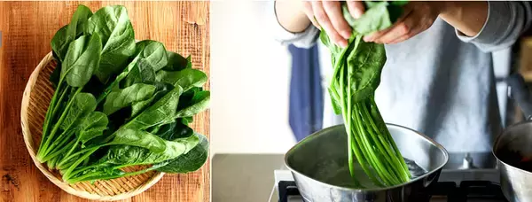 DM三井製糖 ほうれん草は「砂糖で茹でる」？ 砂糖の裏ワザを披露