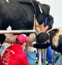 雪印メグミルク 笑顔広がる“学びの場” 「牧場まつり」で酪農体験