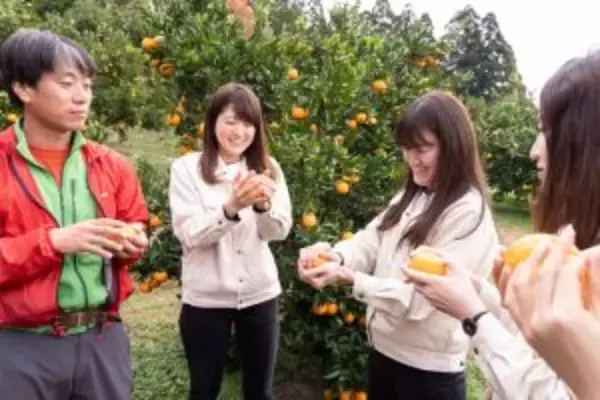 規格外果実を救え！プロジェクト第2弾は「高知県産ぽんかん」 すっきり味のチューハイに キリンビール