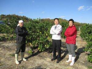 瀬戸内に浮かぶ広島レモンの島を元気にする　 ポッカサッポロ社員自ら耕作放棄地を再生　 地域活性化とレモン総需要拡大が目的