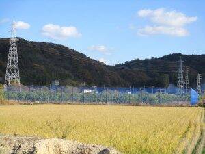 瀬戸内に浮かぶ広島レモンの島を元気にする　 ポッカサッポロ社員自ら耕作放棄地を再生　 地域活性化とレモン総需要拡大が目的