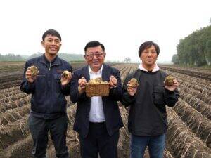 カルビーポテト社、北海道産じゃがいもの安定調達へ効率化と品種改良を推進　4つの畦を一気に収穫する大型ハーベスター本格稼働