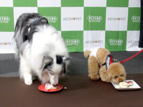 犬猫用の冷凍食品を強化 ケーキやおせちも イオンペット