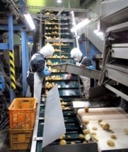 味のちぬや 日本一の冷凍コロッケ工場 独自路線で安全・安心とおいしさ追求