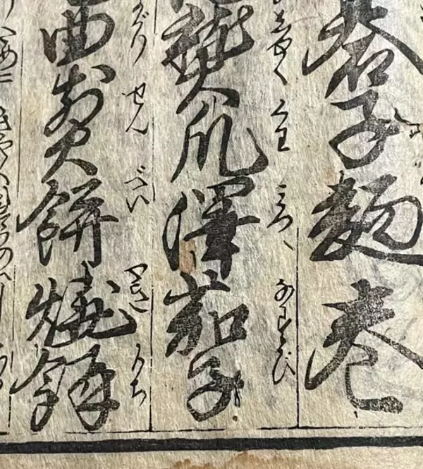 700年の歴史持つ「貝塚澤なす」 大阪・貝塚の老舗漬物メーカーが糠漬で魅力発信