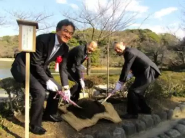 伊藤園、開園120周年迎える横浜・三渓園に桜の苗木を園児と植樹　250本の桜は「歴史ある分だけ老木も多い」　未来の景観に貢献