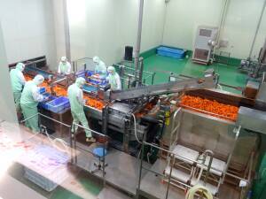 カゴメ 「にんじん」価値を再訴求 感動的な甘さで購入を促進