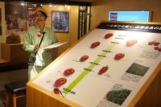 カゴメ 創業地で見学会始動 モノづくりの原点「記念館」 「上野工場」醸熟ソース拠点