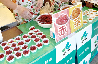 福神漬最大手がカレーフェスでつなぐ伝統食文化 新進、横須賀で福神漬6000食配布 イベント×食育で次世代と接点