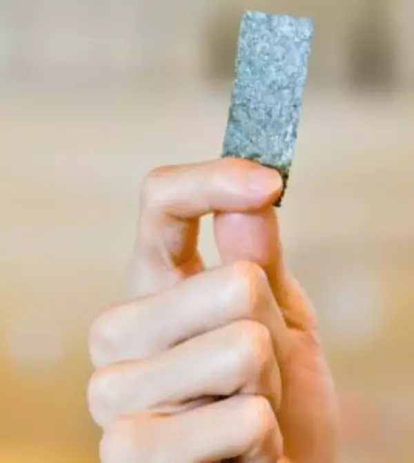 カルビー代替海苔「のりやん」好評につき3日で完売　量産化へ発案・開発者が意欲　海苔と共存して一大市場形成の可能性浮上