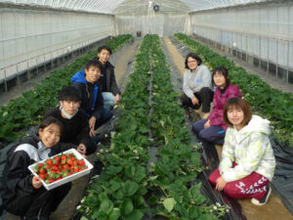 〈食の産学官連携⑥〉ハイブリッド種「ブリヒラ」開発 担い手不足解消へ「ICT農法」も 近畿大学